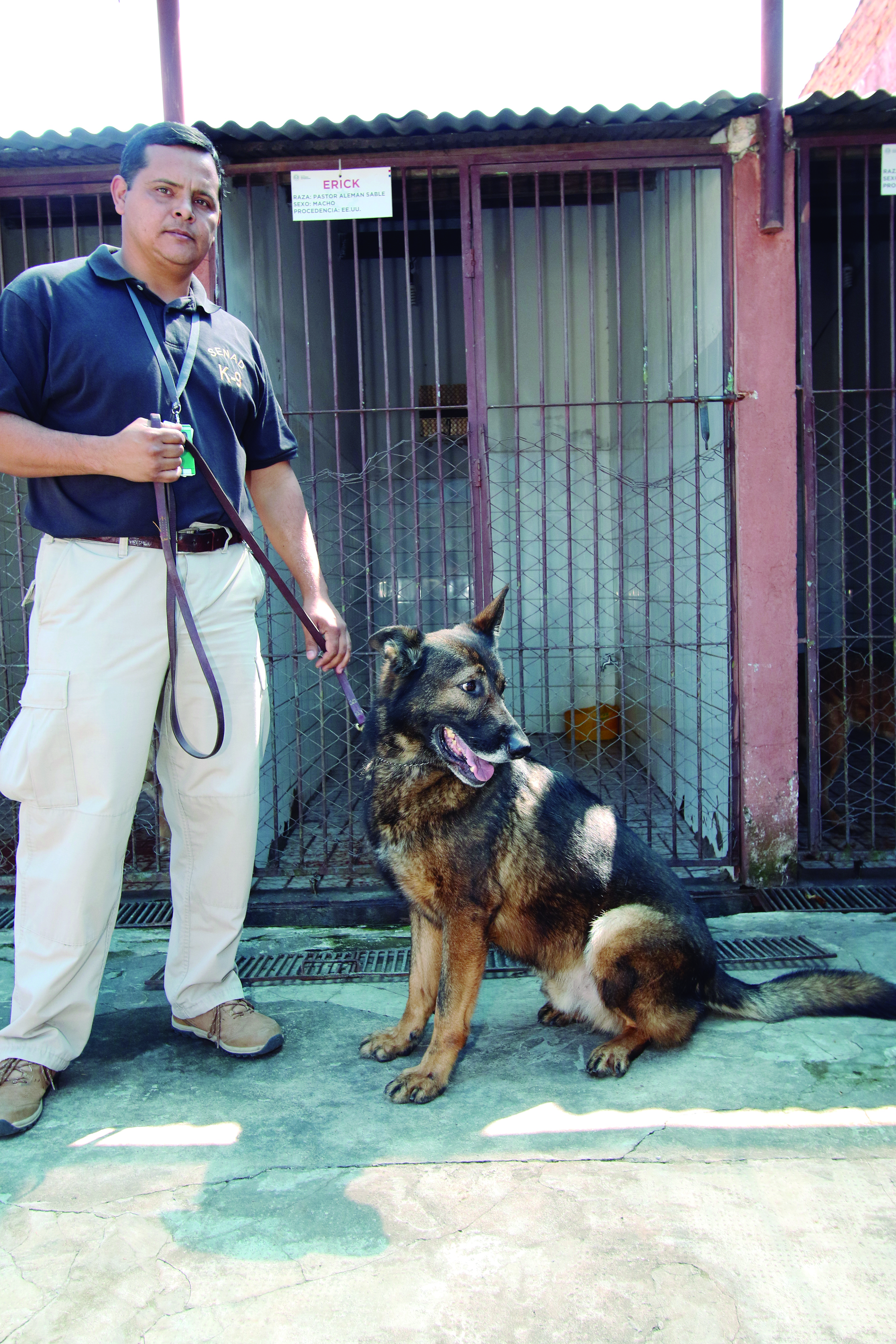 VIDEO: Cría de perros en todo el mundo al descubierto | PETA Latino, image size:3543x5315